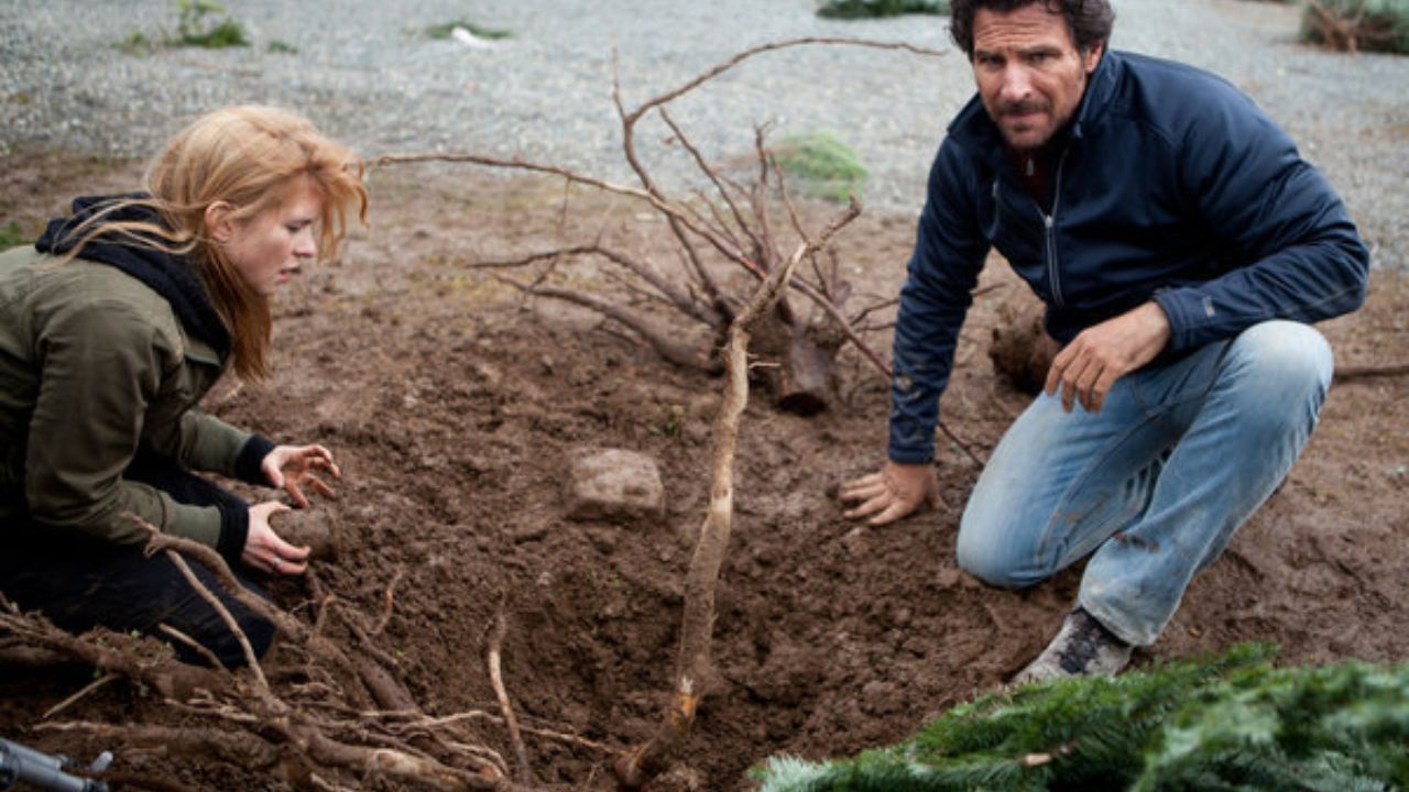 12 Desastres de Natal 12 Desastres de Natal