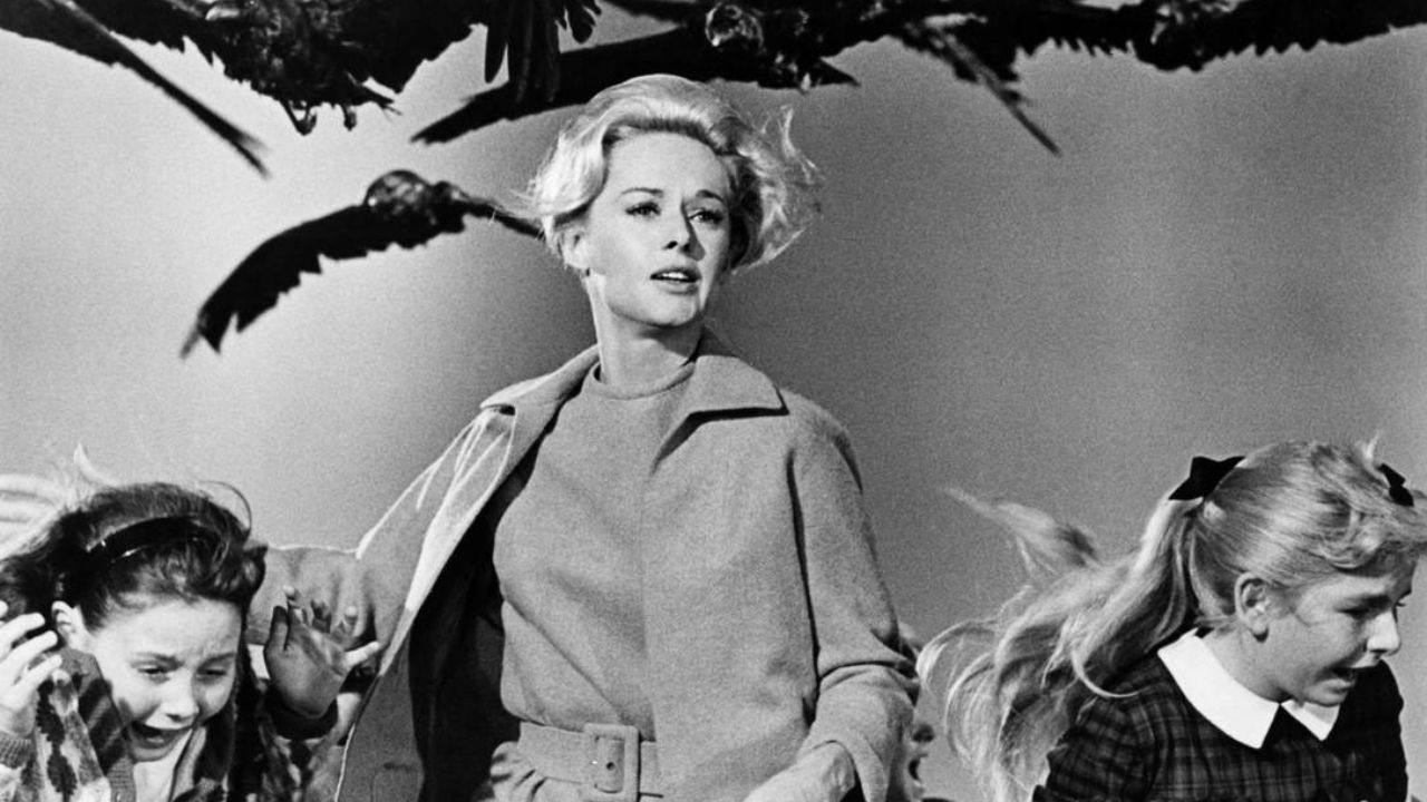 Os Pássaros Os Pássaros