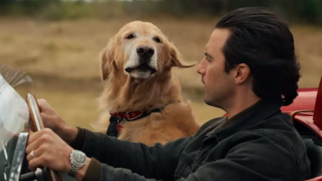 A Arte de Correr na Chuva A Arte de Correr na Chuva
