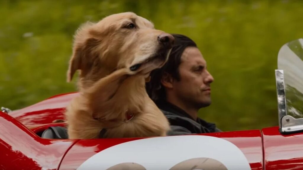 A Arte de Correr na Chuva