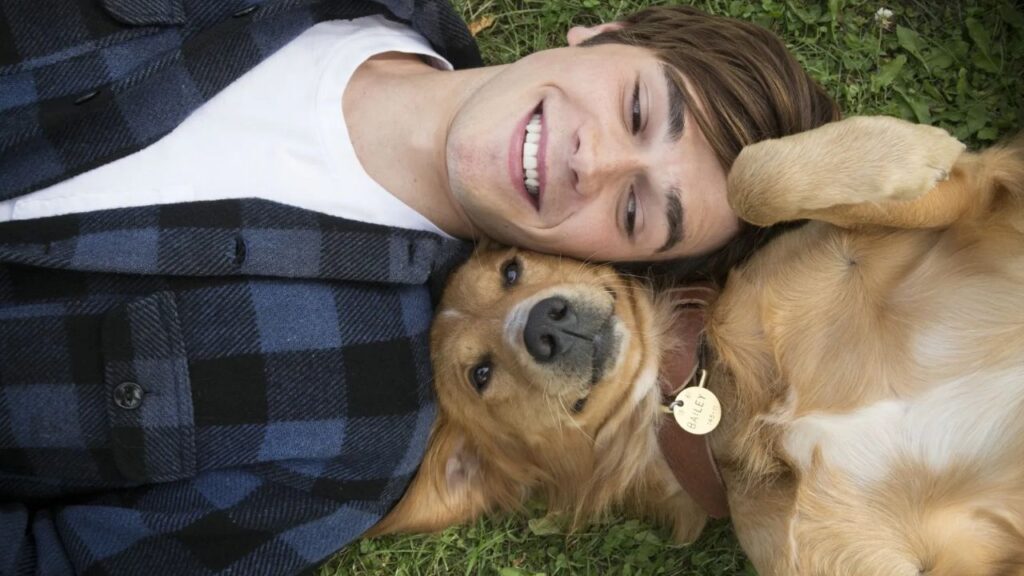 Quatro Vidas de um Cachorro