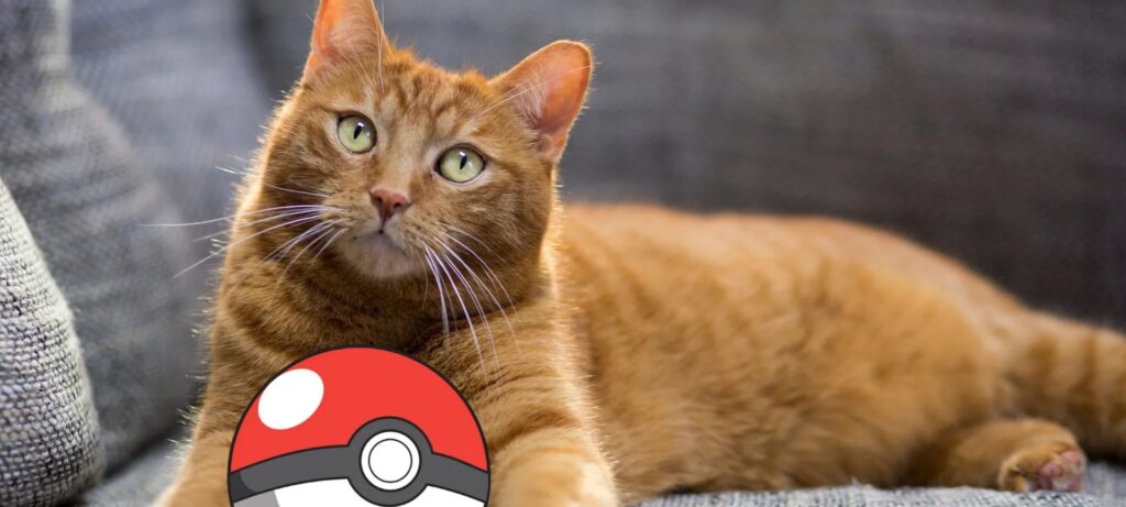 Novo jogo de controle de gatos semelhante ao Pokémon GO é lançado para Android