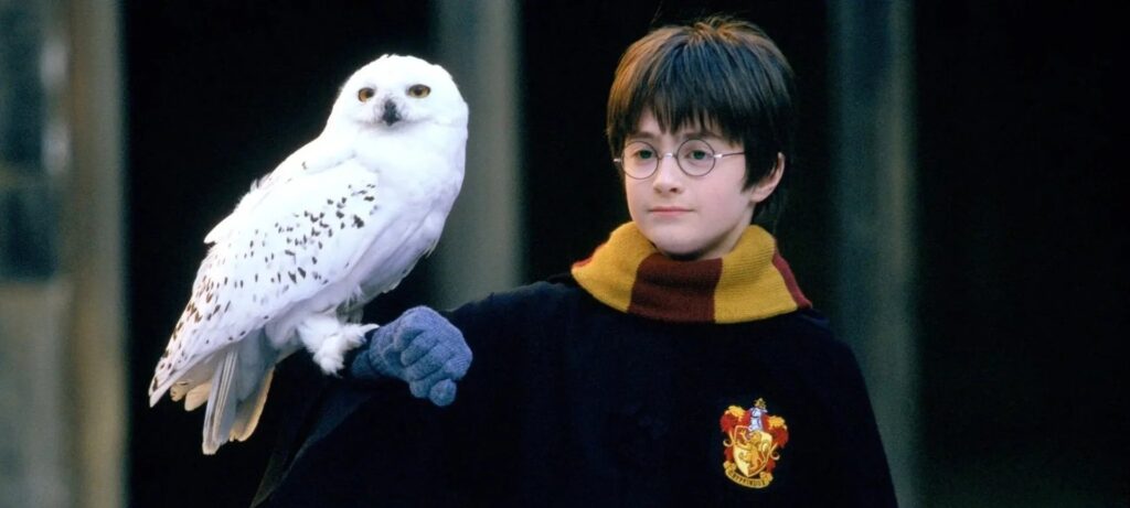 Novidades de jogos e séries de Harry Potter chegam em julho no mobile