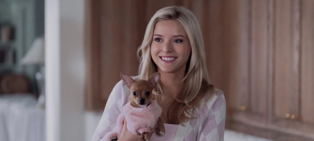 Elle amplia universo de Legally Blonde com participação de Reese Witherspoon e novidades na temporada 1