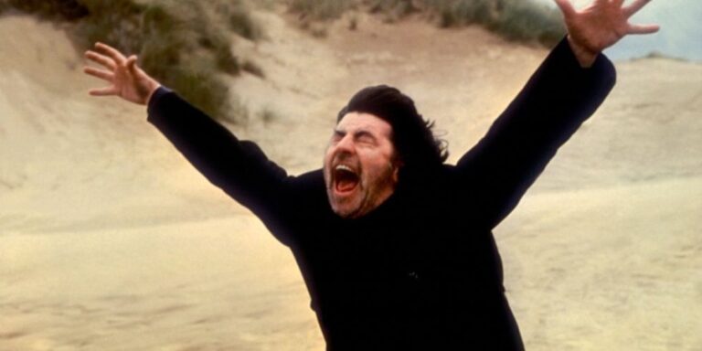 3 The Shout (1978)