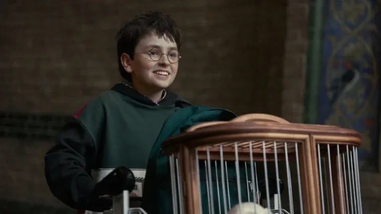 The Harry Potter series is facing a number of problems before it even premieres