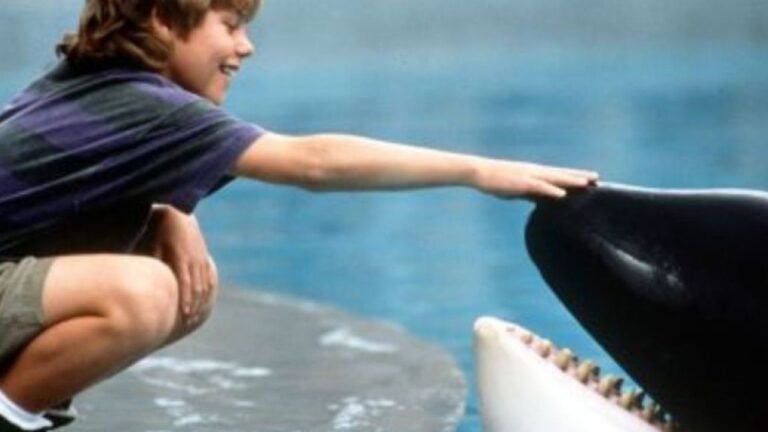 9 Free Willy (1993)