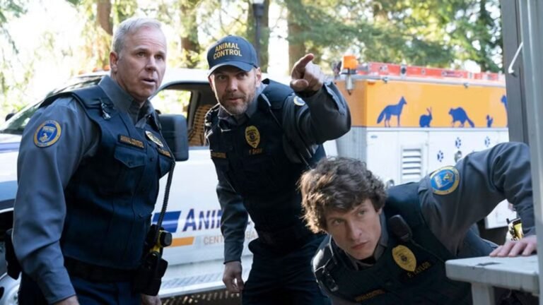 Animal Control (Fox)