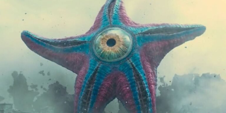 Giant Starfish