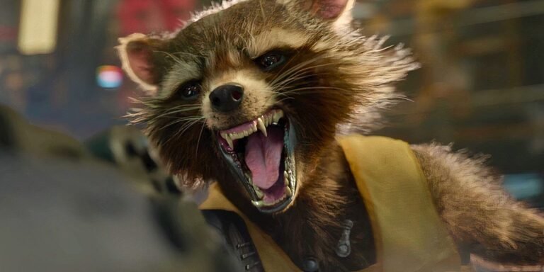 Rocket Raccoon
